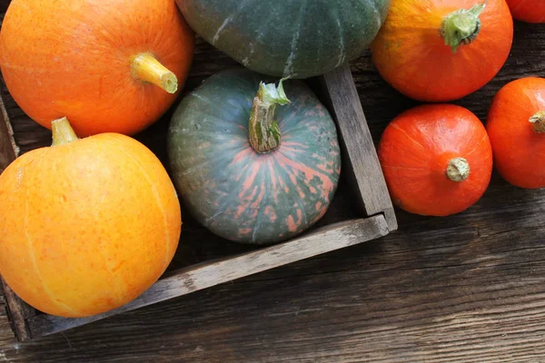 Herbst Kürbis Thanksgiving Hintergrundkonzept Orange Und Grüne Kürbisse Holzkiste Auf — Stockfoto