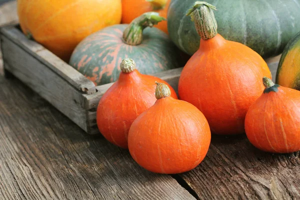 Herfst Pompoen Thanksgiving Achtergrond Concept Oranje Groene Pompoenen Houten Doos — Stockfoto