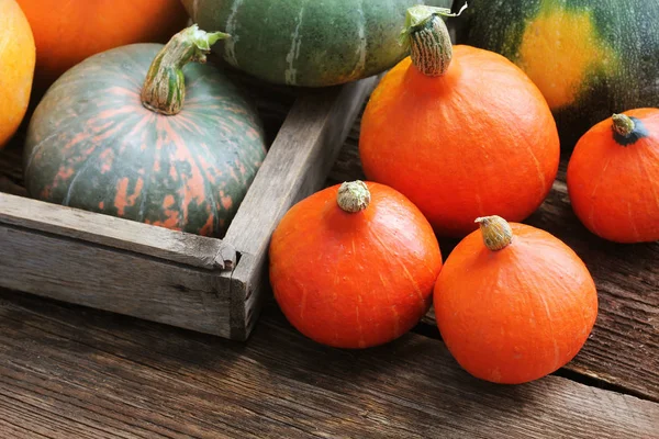 Abóbora de outono Conceito de fundo de Ação de Graças. Abóboras laranja e verde em caixa de madeira na mesa rústica — Fotografia de Stock