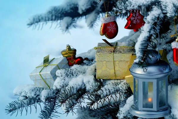 Doğal Çam Ağacı Karla Kaplı Noel Dekorasyon Köknar Ağacı Dalı — Stok fotoğraf