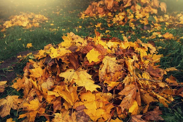 Stapel Van Gevallen Bladeren Herfst Park Val Achtergrond — Stockfoto