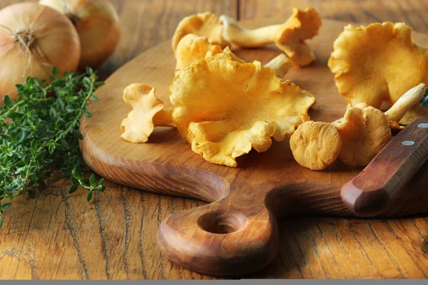 Cogumelos chanterelle selvagens crus redy para cozinhar. Composição com cogumelos selvagens, ervas, cebola — Fotografia de Stock