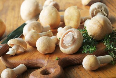 Ham çingene mantar veya Cortinarius caperatus mantar yemek pişirmek için redy. Yabani mantar, otlar, soğan ile kompozisyon