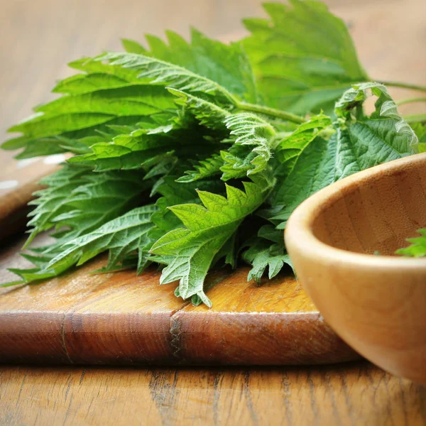 Medicinal plant fresh stinging nettle on a cutting board — Stock Photo, Image