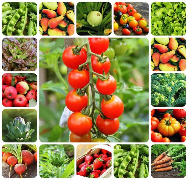Κολάζ Λαχανικά Προϊόντα Από Λαχανόκηπο Υγιείς Διατροφικές Έννοια Κηπουρική Φόντο — Φωτογραφία Αρχείου