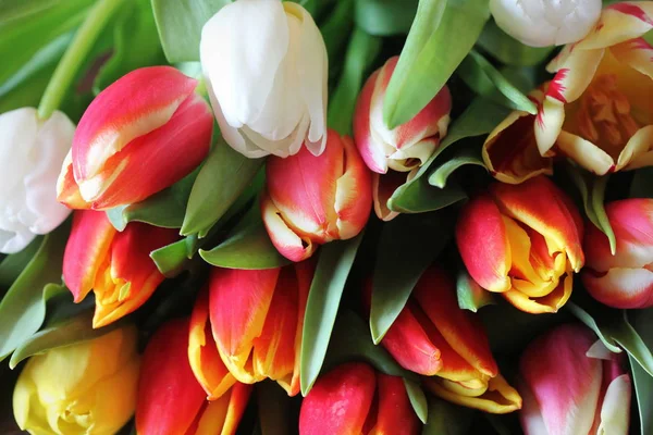 Bouquet of beautiful tulips, Valentine's , International Women's , Mother day — Stock Photo, Image