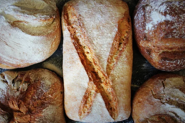 Auswahl an frischem Brot auf schwarzem Hintergrund. Konzept des Kochens, erfolgreicher Unternehmer oder Start-up. — Stockfoto