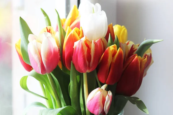 Bouquet of beautiful tulips, Valentine's , International Women's , Mother's day — Stock Photo, Image