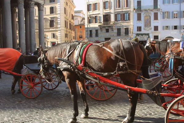 Rom, italien - 28. Dezember 2018: Pferdekutsche für Touristen am Pantheon-Tempel in rom, italien — Stockfoto