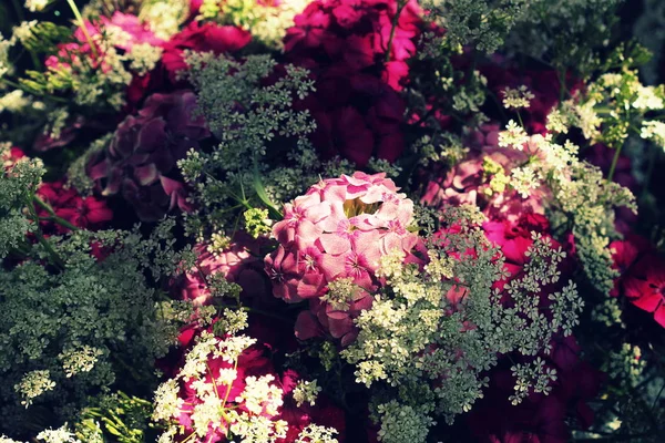 Прекрасные летние цветы. Букет розового фона Уильяма . — стоковое фото