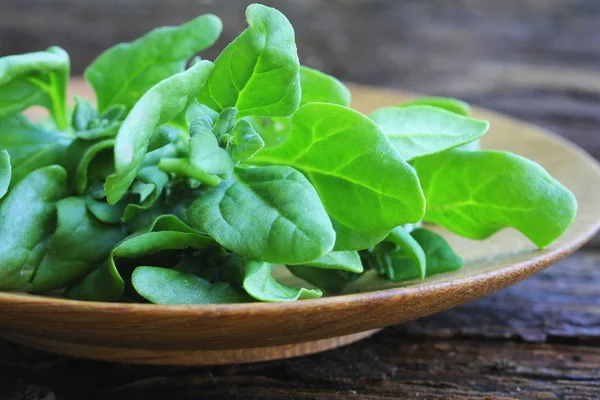 Tetragonia tetragonioides, New Zealand spinach on wooden background — Stock Image Tetragonia tetragonioides, New Zealand spinach on wooden background Stock Photo