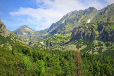 Yüksek Tatras, Slovakya'da kayalık dağlar manzarası