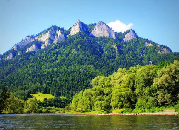 Dunajec River och tre kronor Peak i Pieniny Mountains på sommaren, Polen — Stockfoto