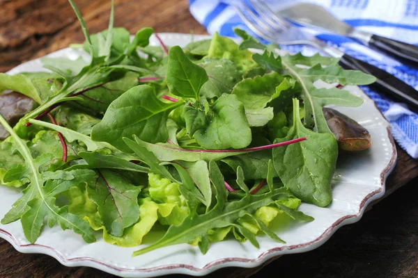 Meng verse bladeren van Nieuw-Zeelandse spinazie, rucola, sla,, bieten voor salade op een donkere houten achtergrond. Top View — Stockfoto