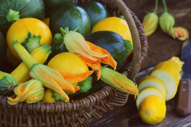 Kabak hasadı. Sepette duran taze kabak. Bahçeden taze kabak topladım. Organik gıda konsepti