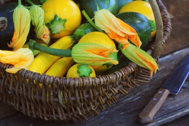 Kabak hasadı. Sepette duran taze kabak. Bahçeden taze kabak topladım. Organik gıda konsepti