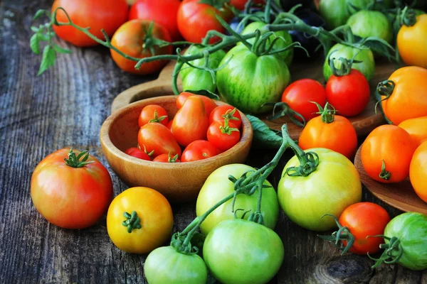 Colheita de tomate herança recém-colhida: pêra em forma, coração de vaca, tigerella, brandywine, cereja, preto, índigo rosa, verde. Produtos biológicos num mercado de agricultores — Fotografia de Stock