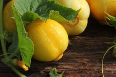 Genç taze limon sarı salatalık koyu ahşap arka plan