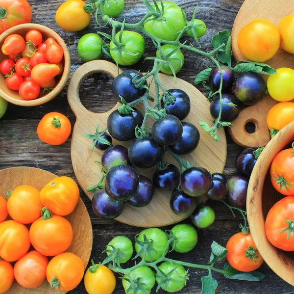 Colheita de tomate herança recém-colhida: pêra em forma, coração de vaca, tigerella, brandywine, cereja, preto, índigo rosa, verde. Produtos biológicos no mercado de um agricultor — Fotografia de Stock