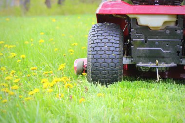 Bahçıvanlık konsepti. Bahçıvan traktör çim biçme makinesinin uzun çimlerini kesiyor. .