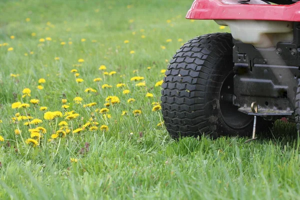 Giardinaggio concetto di sfondo. Giardiniere tagliare l'erba lunga su un tosaerba trattore — Foto Stock