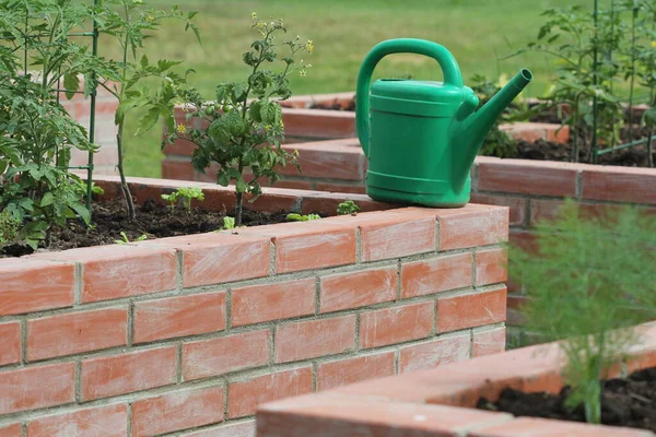 Hochbeet-Gärtnerei: Gemüse wächst im Garten — Stockfoto