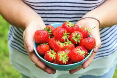 Kadın elleri taze çilek kasesiyle kaseyi tutuyor.
