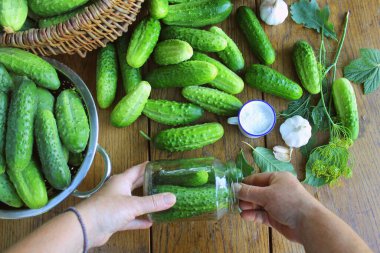 Cucumber canning concept. fermented pickled cucumbers, h dill glass jar in women hand . clipart