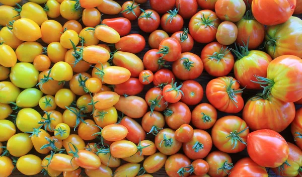 Fresh heirloom tomatoes background, organic produce at a Farmers market. Tomatoes rainbow