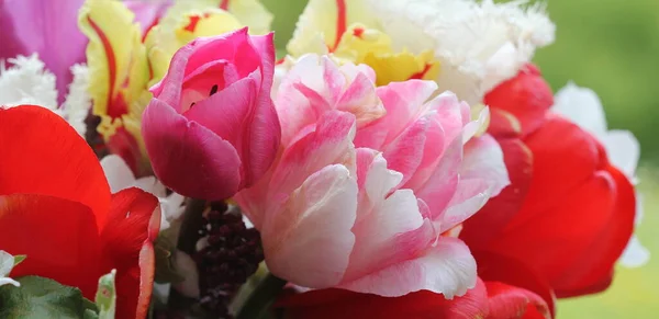 Schöne Frühlingsblumen. Bouquet aus rosa, roten, weißen Tulpen — Stockfoto