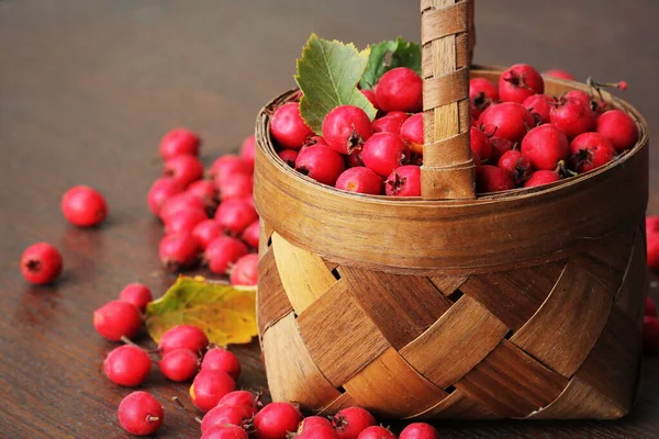 Berries for traditional medicine. Ripe hawthorn in a basket on a wooden background — Stock Photo, Image