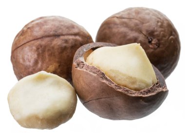 Macadamia fıstığı veya beyaz arka plan üzerinde izole bush fındık.