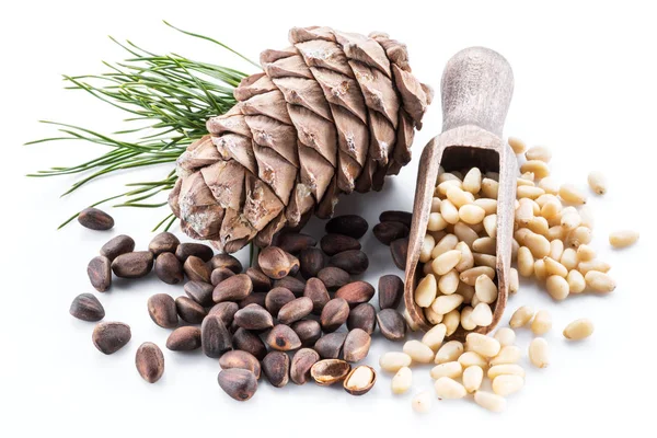 Kužel Cedrové Ořechy Piniové Oříšky Bílém Pozadí Organické Potraviny — Stock fotografie