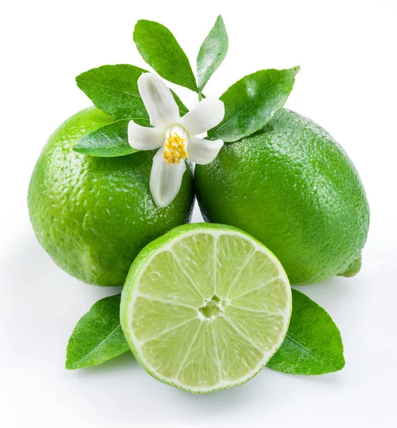 Ripe Lime Fruits White Background — Stock Photo, Image