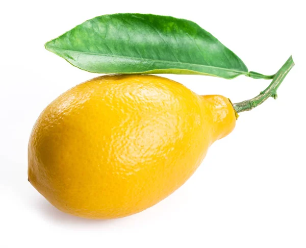 Fruta Limão Madura Com Folha Fundo Branco — Fotografia de Stock