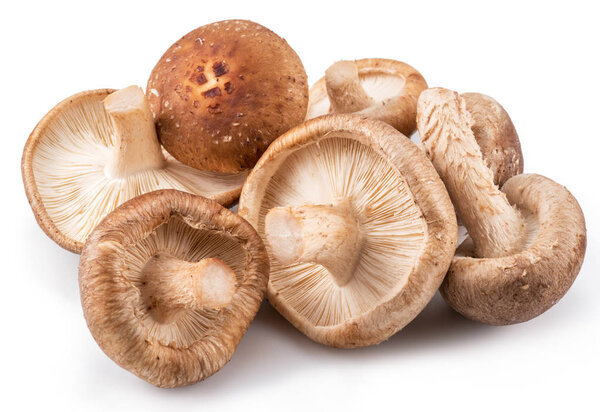 Shiitake mushrooms on the white background.
