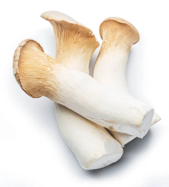 King Oyster Mushrooms White Background — Stock Photo, Image