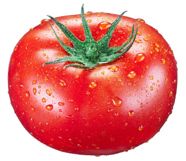 Tomate Cereja Com Gotas Água Fundo Branco — Fotografia de Stock