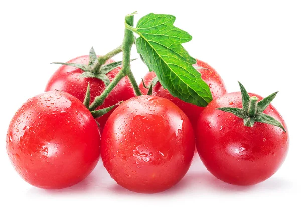 Tomate Cereja Com Gotas Água Fundo Branco — Fotografia de Stock