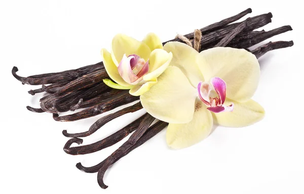 Sušené Ovoce Vanilka Vanilkové Květy Orchidejí Izolovaných Bílém Pozadí — Stock fotografie