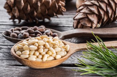 Çam fıstığı ahşap masa üzerinde kaşık ve çam fıstığı koni. Organik gıda.