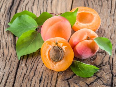 Kayısı ve onun kesit eski ahşap tablo.