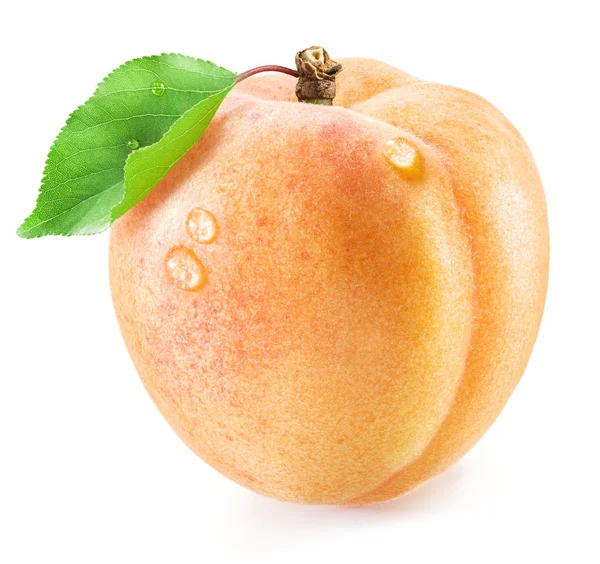 Aprikosenfrucht Mit Blatt Und Wassertropfen Darauf Auf Weißem Hintergrund — Stockfoto