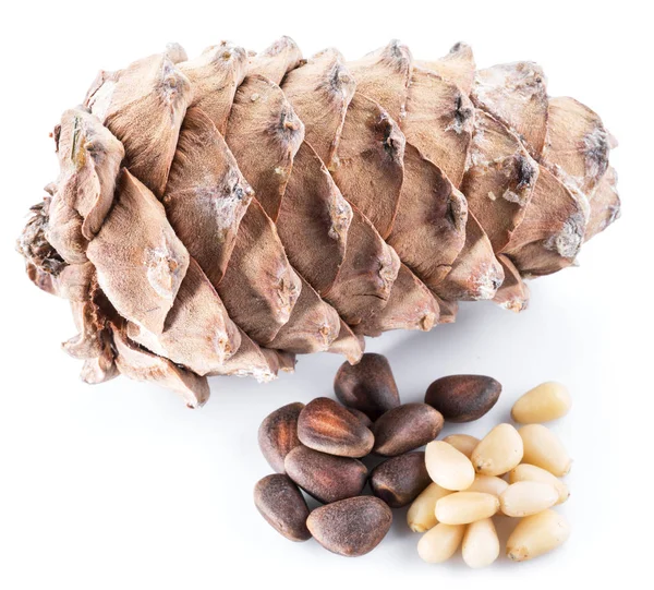 松コーンと白い背景の上の松の実 有機食品 — ストック写真