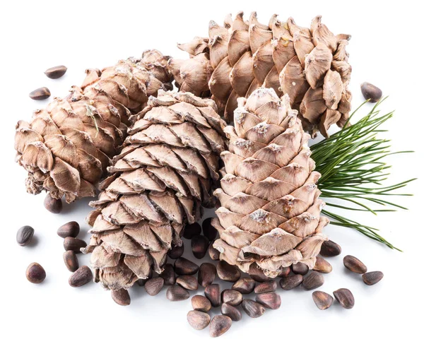 Pine nut cones and pine nuts on the white background. Organic food.