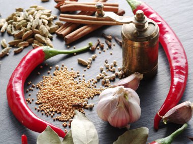 Süper tablo farklı baharatlar.