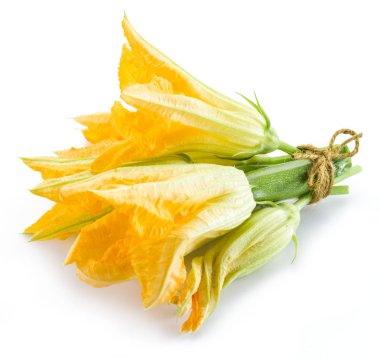 Kabak çiçekleri beyaz bir arka plan üzerinde.