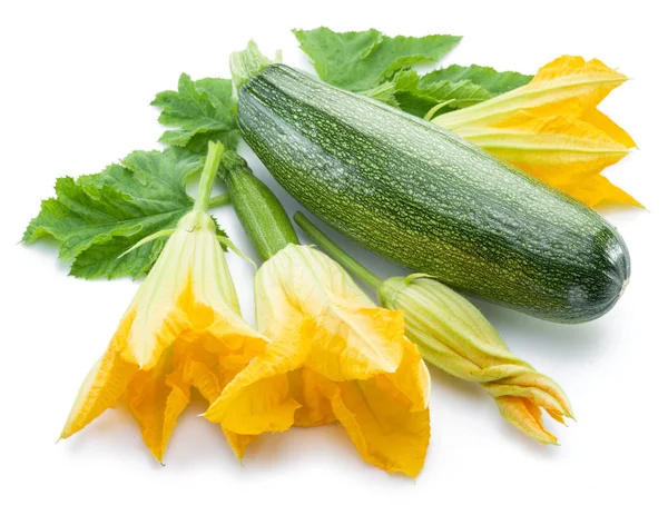 Courgette Bloemen Whith Rijp Courgette Een Witte Achtergrond — Stockfoto