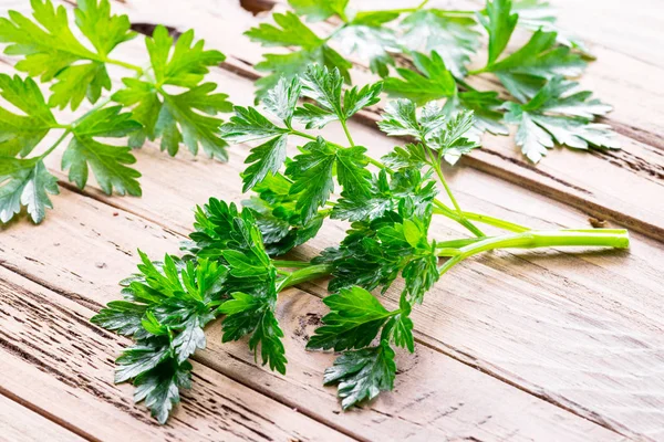 Ahşap zemin üzerine maydanoz ot.