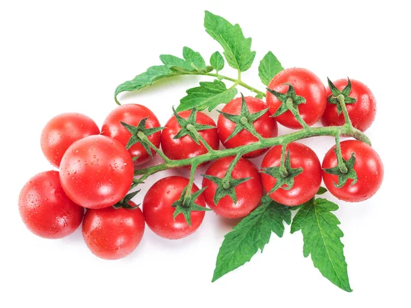 Tak Van Cherry Tomaten Witte Achtergrond — Stockfoto